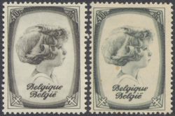 Image Lot