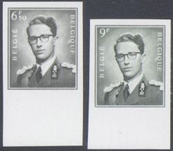 Image Lot