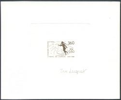 Image Lot