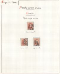 Image Lot