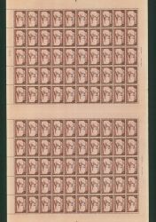Image Lot