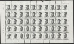 Image Lot