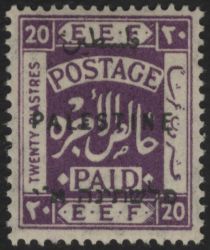 Image Lot