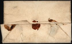 Image miniature