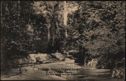Image miniature