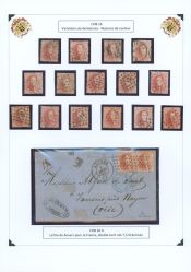 Image Lot