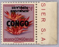 Image Lot