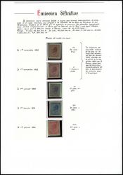 Image Lot