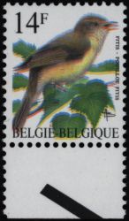 Image Lot