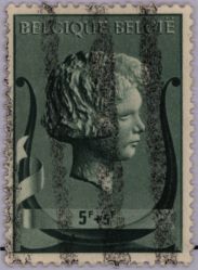 Image Lot
