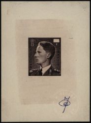 Image Lot