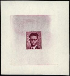 Image Lot