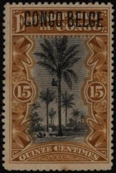 Image Lot