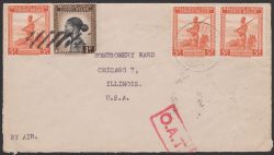 Image Lot