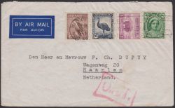 Image Lot