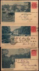 Image Lot