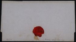 Image miniature