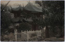 Image miniature