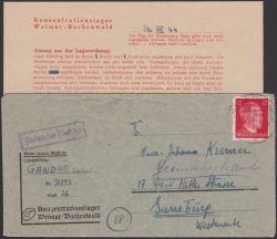 Image Lot
