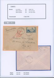 Image Lot
