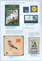 Image Lot