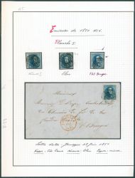 Image Lot