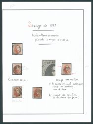 Image Lot
