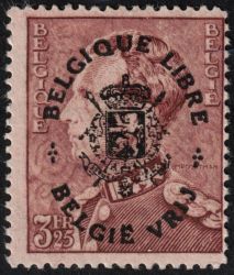Image Lot