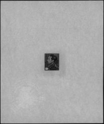 Image Lot