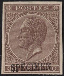 Image Lot