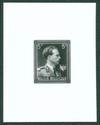 Image Lot