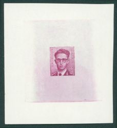 Image Lot