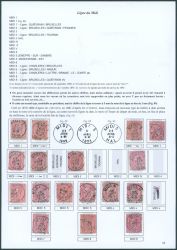 Image Lot