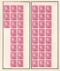 Image Lot