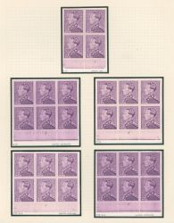 Image Lot