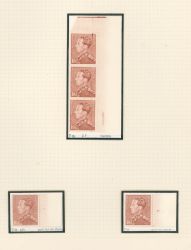 Image Lot