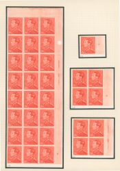 Image Lot