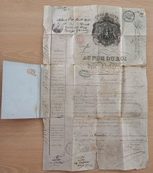 Image Lot