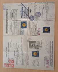 Image Lot