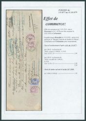 Image Lot