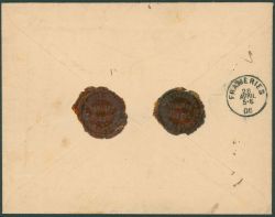 Image miniature
