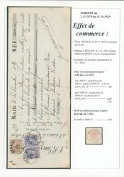 Image Lot