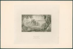 Image Lot
