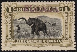 Image Lot
