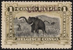 Image Lot