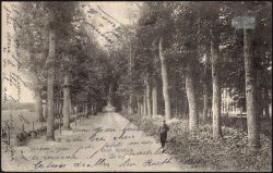 Image miniature