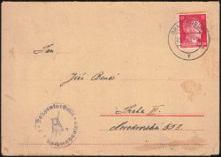 Image Lot