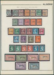 Image Lot