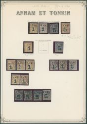 Image Lot