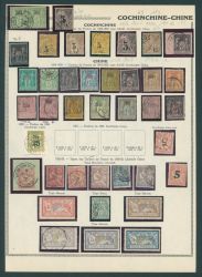 Image Lot